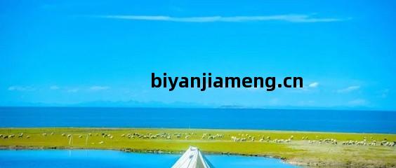 露營熱浪(lang)襲來(lai) 旅(lv)行社(she)轉(zhuan)型(xing)的(de)機(ji)遇(yu)與(yu)挑戰