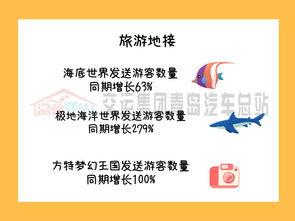 旅(lv)遊業務(wu)為汽車(che)總(zong)站(zhan)暑(shu)運(yun)增添新活力